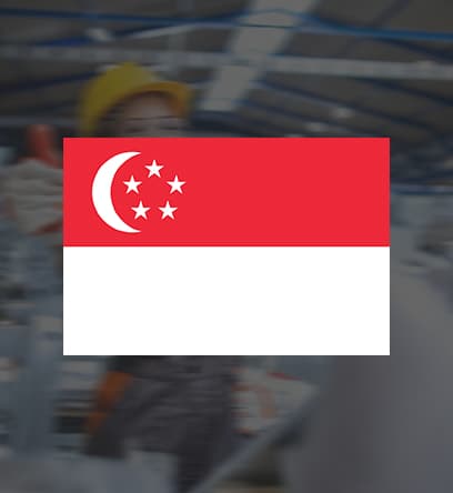 Singapore Flag